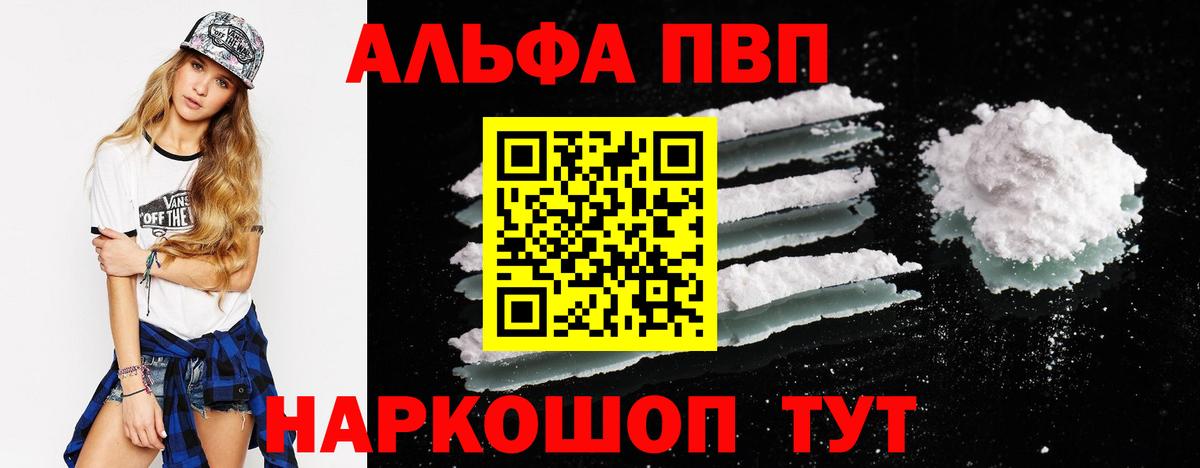 Alfa_PVP СК КРИС Киров