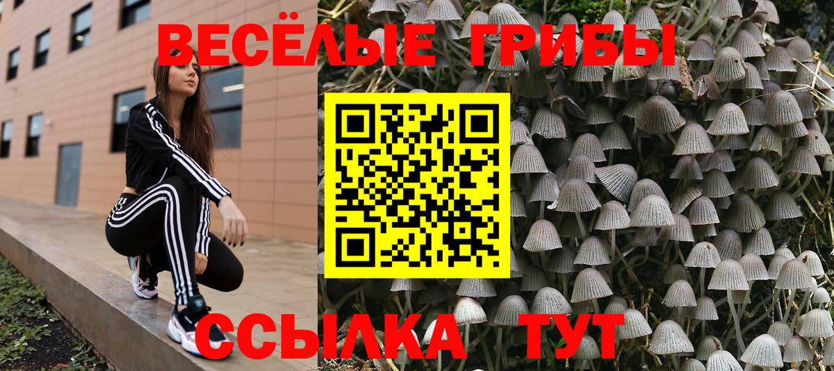 Галлюциногенные грибы мицелий Киров